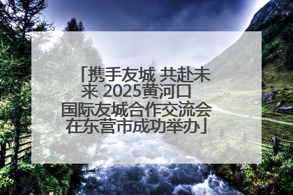 携手友城 共赴未来 2025黄河口国际友城合作交流会在东营市成功举办