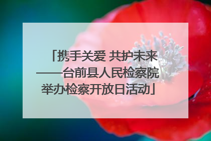 携手关爱 共护未来——台前县人民检察院举办检察开放日活动