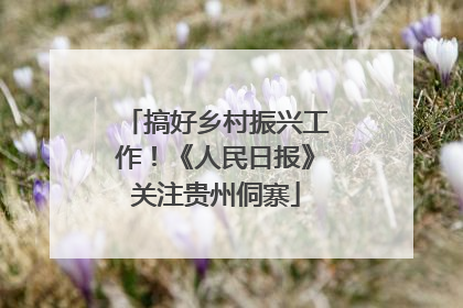 搞好乡村振兴工作！《人民日报》关注贵州侗寨