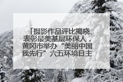 摄影作品评比揭晓、表彰最美基层环保人，黄冈市举办“美丽中国我先行”六五环境日主题宣传活动