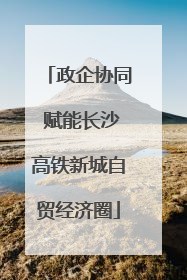 政企协同 赋能长沙高铁新城自贸经济圈