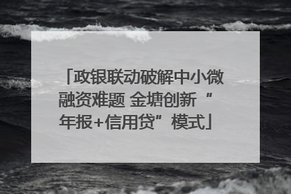 政银联动破解中小微融资难题 金塘创新“年报+信用贷”模式