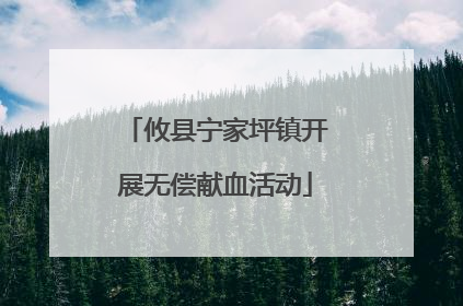 攸县宁家坪镇开展无偿献血活动