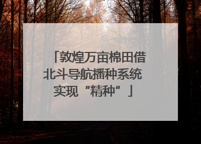 敦煌万亩棉田借北斗导航播种系统实现“精种”