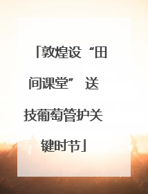 敦煌设“田间课堂” 送技葡萄管护关键时节