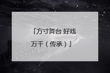 方寸舞台 好戏万千（传承）