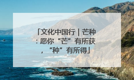 文化中国行｜芒种：愿你“芒”有所获，“种”有所得