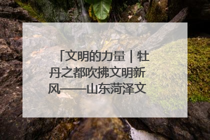 文明的力量｜牡丹之都吹拂文明新风——山东菏泽文明创建一线见闻