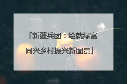 新疆兵团：绘就绿富同兴乡村振兴新图景
