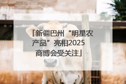 新疆巴州“明星农产品”亮相2025商博会受关注