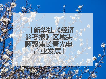 新华社《经济参考报》区域头题聚焦长春光电产业发展