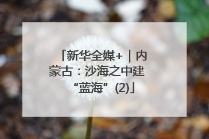 新华全媒+｜内蒙古：沙海之中建“蓝海”(2)