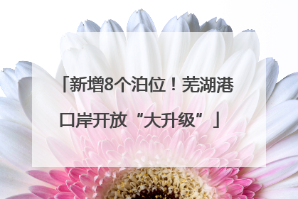 新增8个泊位！芜湖港口岸开放“大升级”