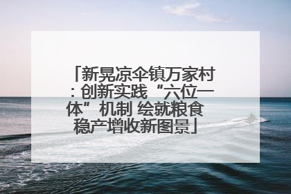 新晃凉伞镇万家村：创新实践“六位一体”机制 绘就粮食稳产增收新图景