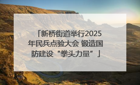 新桥街道举行2025年民兵点验大会 锻造国防建设“拳头力量”
