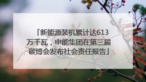 新能源装机累计达613万千瓦，申能集团在第三届碳博会发布社会责任报告
