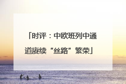 时评：中欧班列中通道赓续“丝路”繁荣