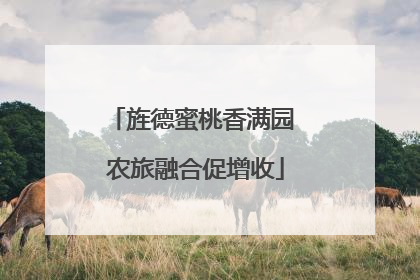 旌德蜜桃香满园 农旅融合促增收