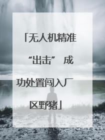 无人机精准“出击” 成功处置闯入厂区野猪