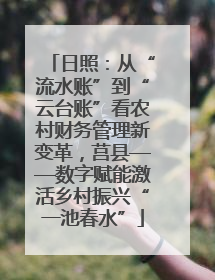 日照：从“流水账”到“云台账”看农村财务管理新变革，莒县——数字赋能激活乡村振兴“一池春水”