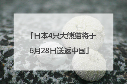 日本4只大熊猫将于6月28日送返中国