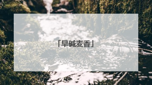 旱碱麦香