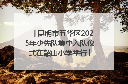 昆明市五华区2025年少先队集中入队仪式在韶山小学举行