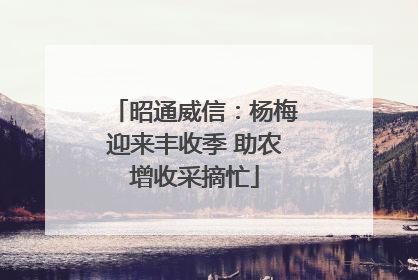 昭通威信：杨梅迎来丰收季 助农增收采摘忙