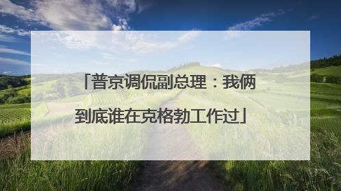 普京调侃副总理：我俩到底谁在克格勃工作过
