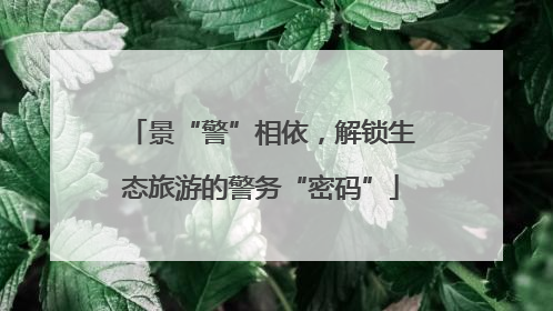 景“警”相依，解锁生态旅游的警务“密码”