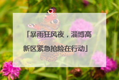 暴雨狂风夜，淄博高新区紧急抢险在行动