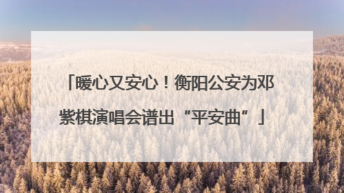 暖心又安心！衡阳公安为邓紫棋演唱会谱出“平安曲”