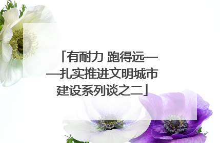 有耐力 跑得远——扎实推进文明城市建设系列谈之二