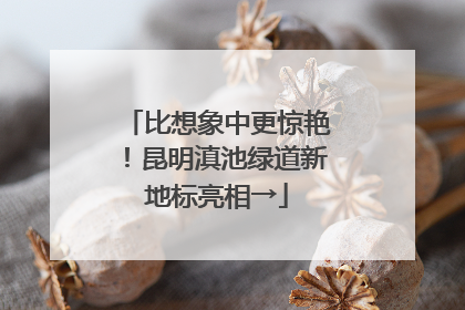 比想象中更惊艳！昆明滇池绿道新地标亮相→