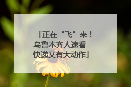 正在“飞”来！乌鲁木齐人速看 快递又有大动作