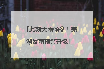 此刻大雨倾盆！芜湖暴雨预警升级