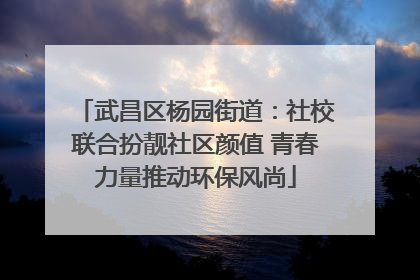 武昌区杨园街道：社校联合扮靓社区颜值 青春力量推动环保风尚