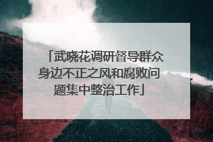 武晓花调研督导群众身边不正之风和腐败问题集中整治工作