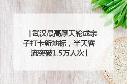 武汉最高摩天轮成亲子打卡新地标，半天客流突破1.5万人次