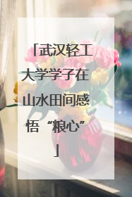 武汉轻工大学学子在山水田间感悟“粮心”