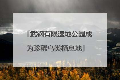 武钢有限湿地公园成为珍稀鸟类栖息地