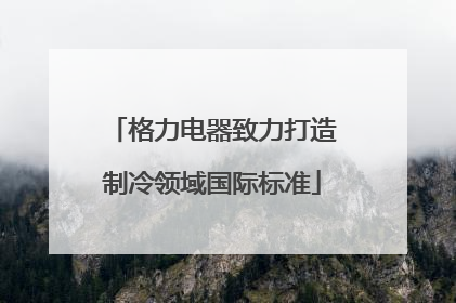 格力电器致力打造制冷领域国际标准
