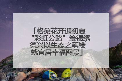 格桑花开迎初夏 “彩虹公路”绘锦绣 德兴以生态之笔绘就宜居幸福图景