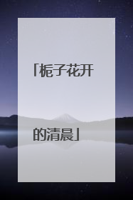 栀子花开的清晨