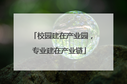 校园建在产业园，专业建在产业链
