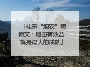 桂东“烟农”黄德文：烟田有效益就是最大的成就