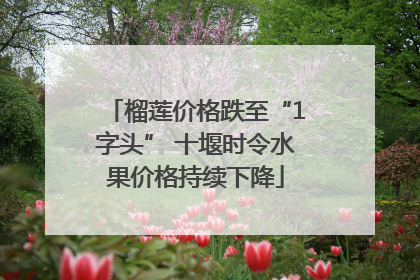 榴莲价格跌至“1字头” 十堰时令水果价格持续下降
