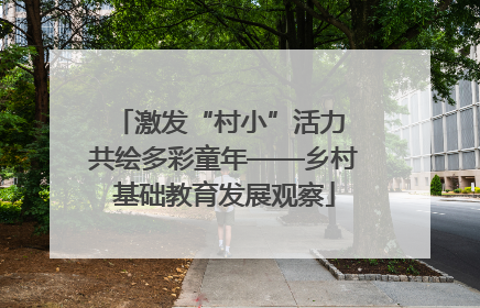 激发“村小”活力 共绘多彩童年——乡村基础教育发展观察