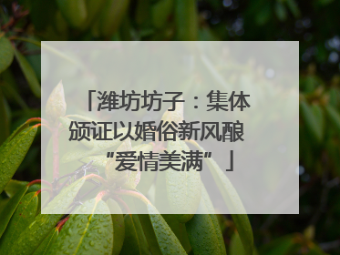 潍坊坊子：集体颁证以婚俗新风酿“爱情美满”