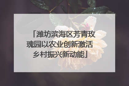潍坊滨海区芳青玫瑰园以农业创新激活乡村振兴新动能